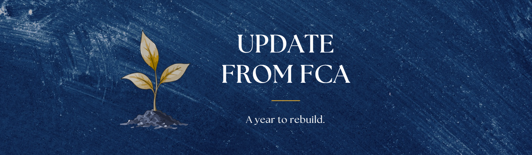 Update from FCA — A year to rebuild